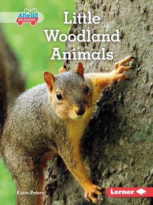 cover image of Little Woodland Animals
